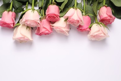 Photo of Beautiful roses on white background, above view. Space for text