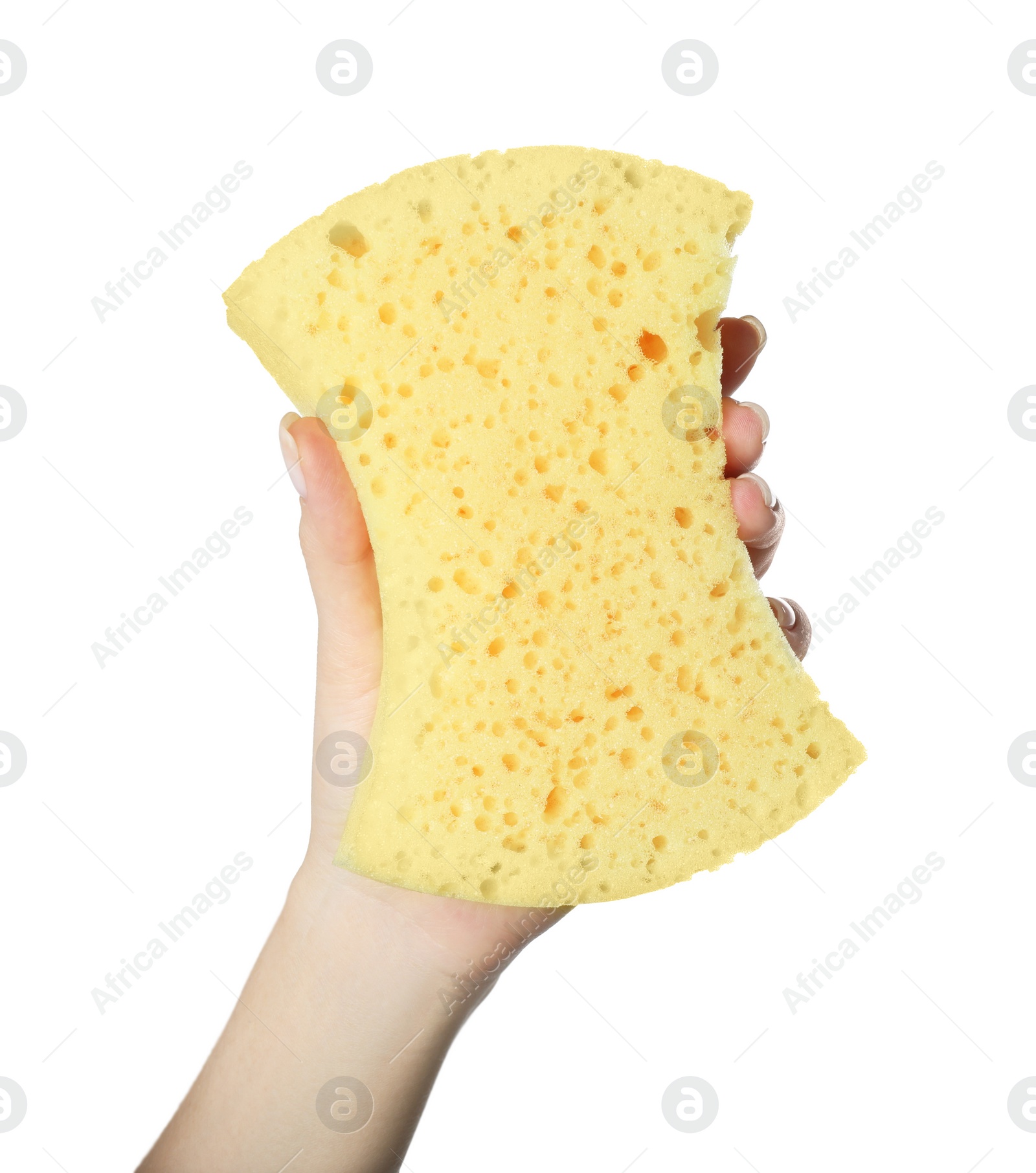 Photo of Woman holding new yellow sponge on white background, closeup