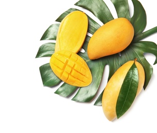 Photo of Composition with fresh mango fruits on white background, top view