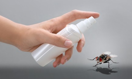 Image of Woman using fly spray on grey background, closeup