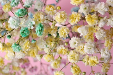 Photo of Beautiful dyed gypsophila flowers on pink background, closeup