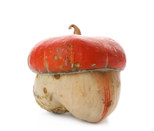 Photo of Fresh raw pumpkin isolated on white. Organic plant