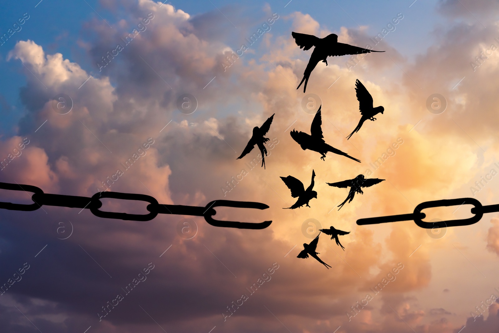 Image of Freedom concept. Silhouettes of broken chain and birds flying in blue sky