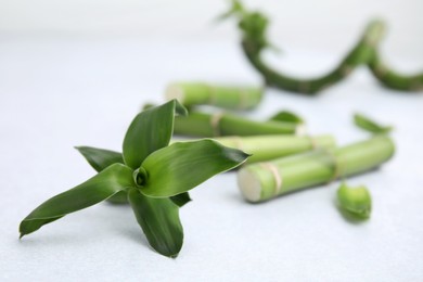 Photo of Pieces of beautiful green bamboo stems on light background, closeup