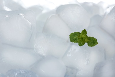 Photo of Leaves of mint on ice cubes against white background, closeup