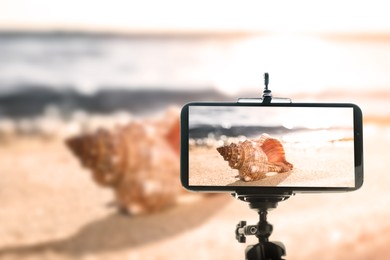 Image of Taking photo of beautiful sea shell with smartphone mounted on tripod