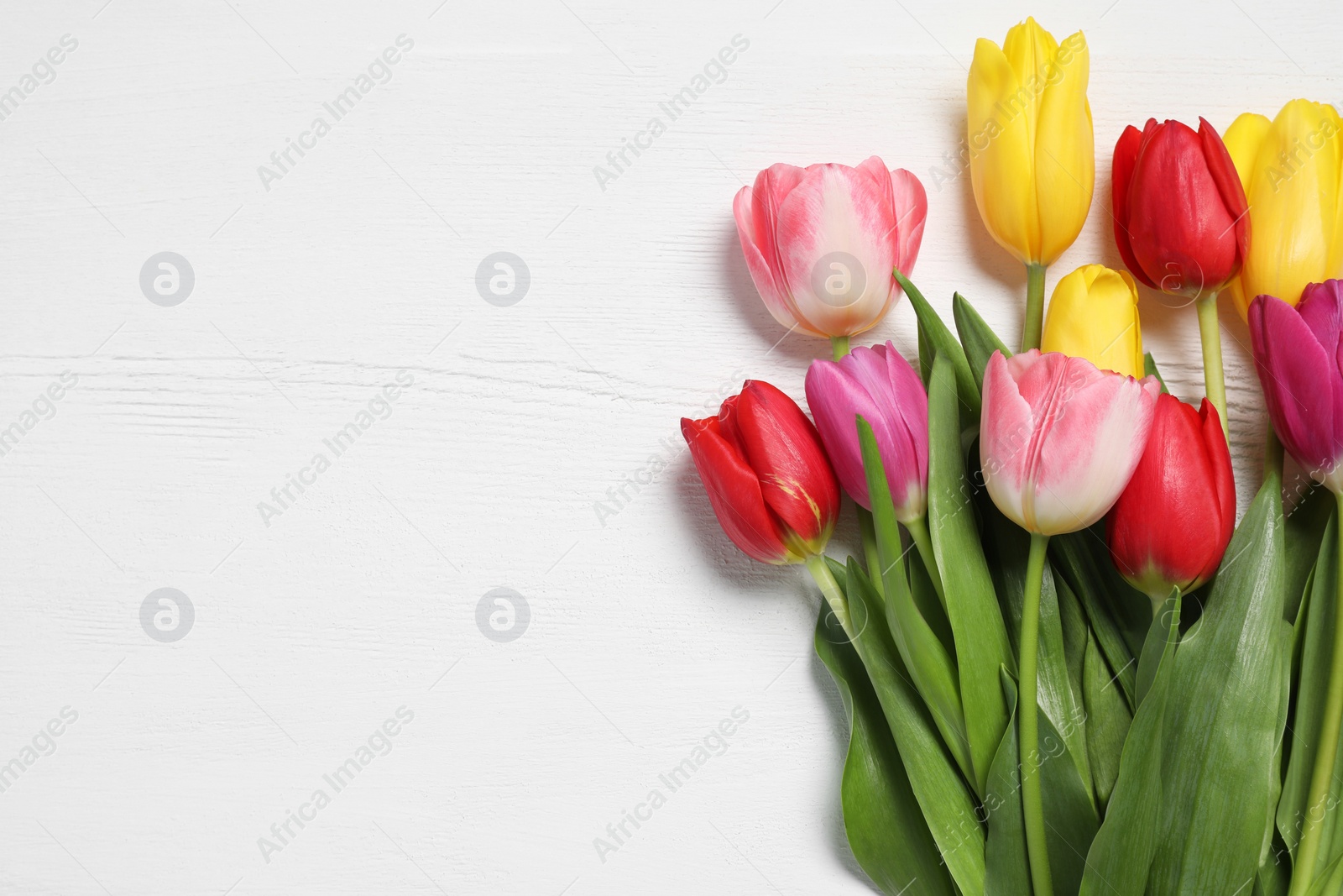 Photo of Beautiful colorful tulips on white wooden background, flat lay with space for text