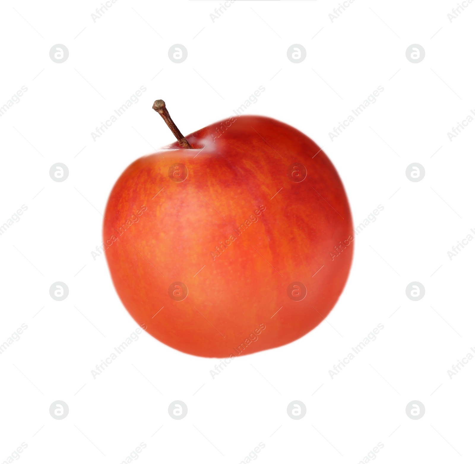 Photo of Delicious fresh ripe plum isolated on white