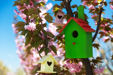 Photo of Bird houses hanging on tree branches outdoors