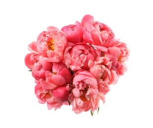 Photo of Beautiful pink peony bouquet isolated on white