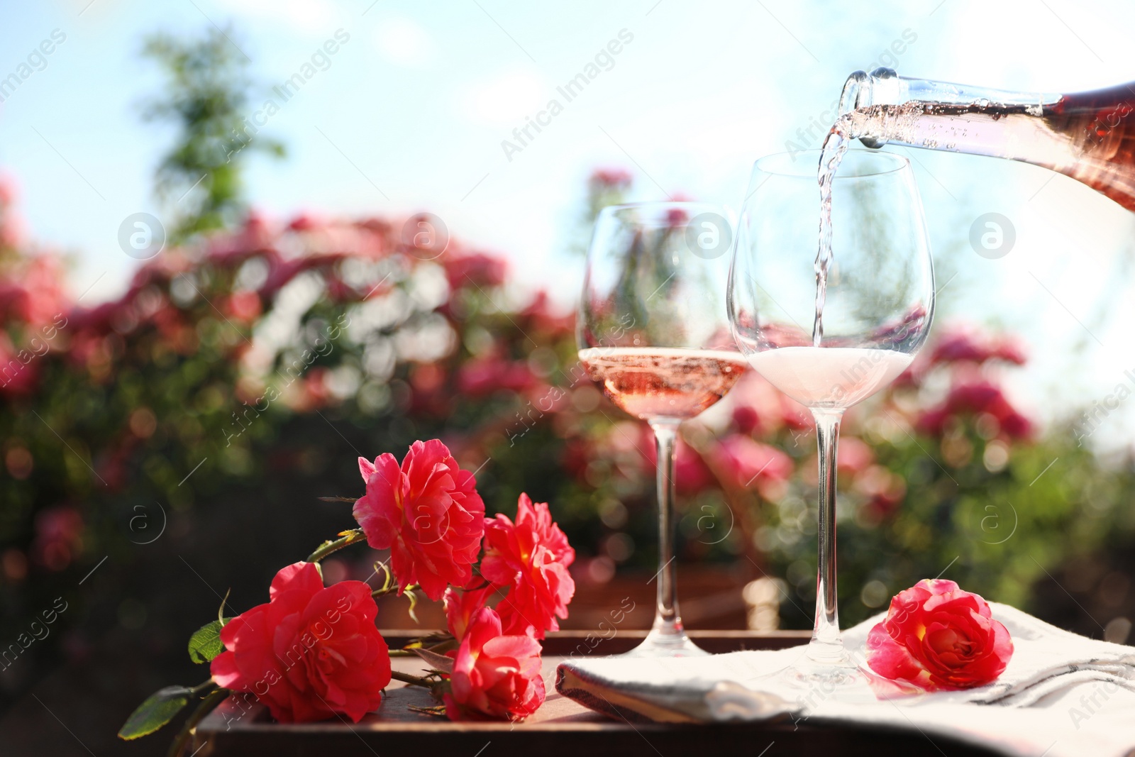 Photo of Pouring wine into glass on table in blooming rose garden. Space for text