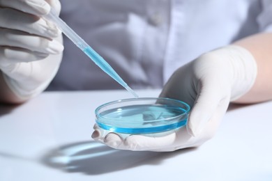 Photo of Scientist dripping liquid from pipette into petri dish at white table, closeup