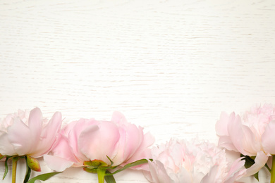 Beautiful blooming peonies on white wooden table, flat lay. Space for text