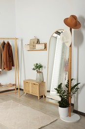 Modern hallway room interior with large mirror and clothing rack