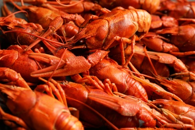 Photo of Delicious boiled crayfishes as background, closeup view