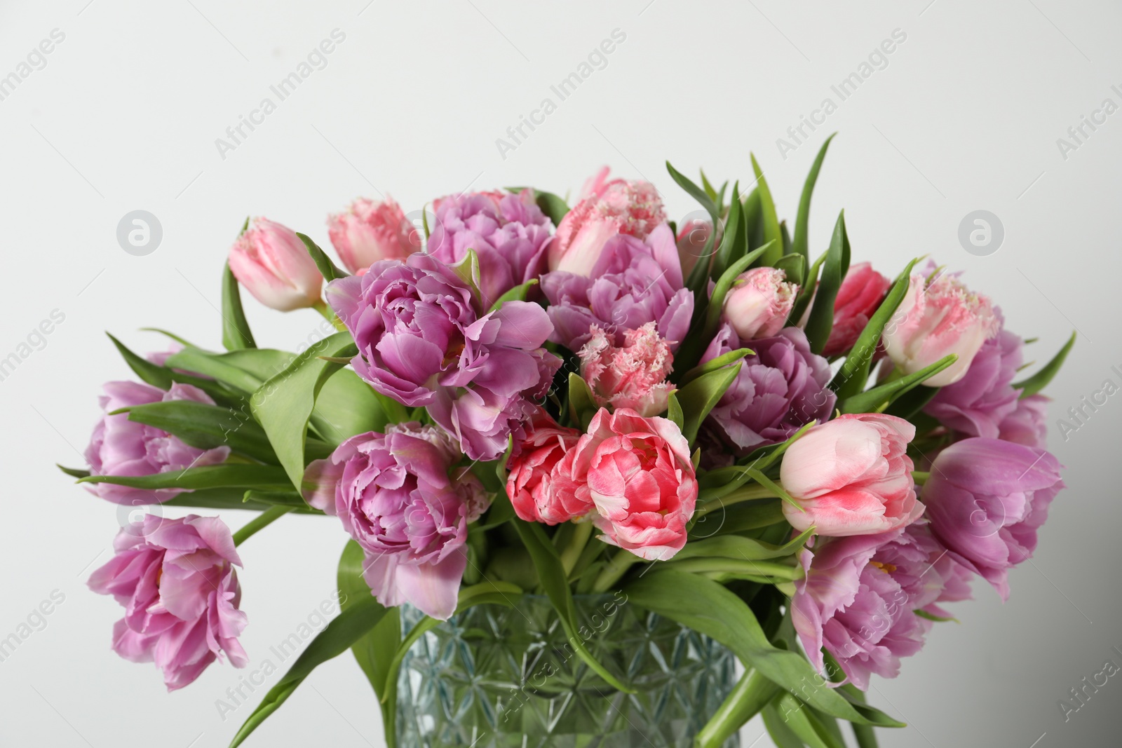 Photo of Beautiful bouquet of colorful tulip flowers against white background, closeup