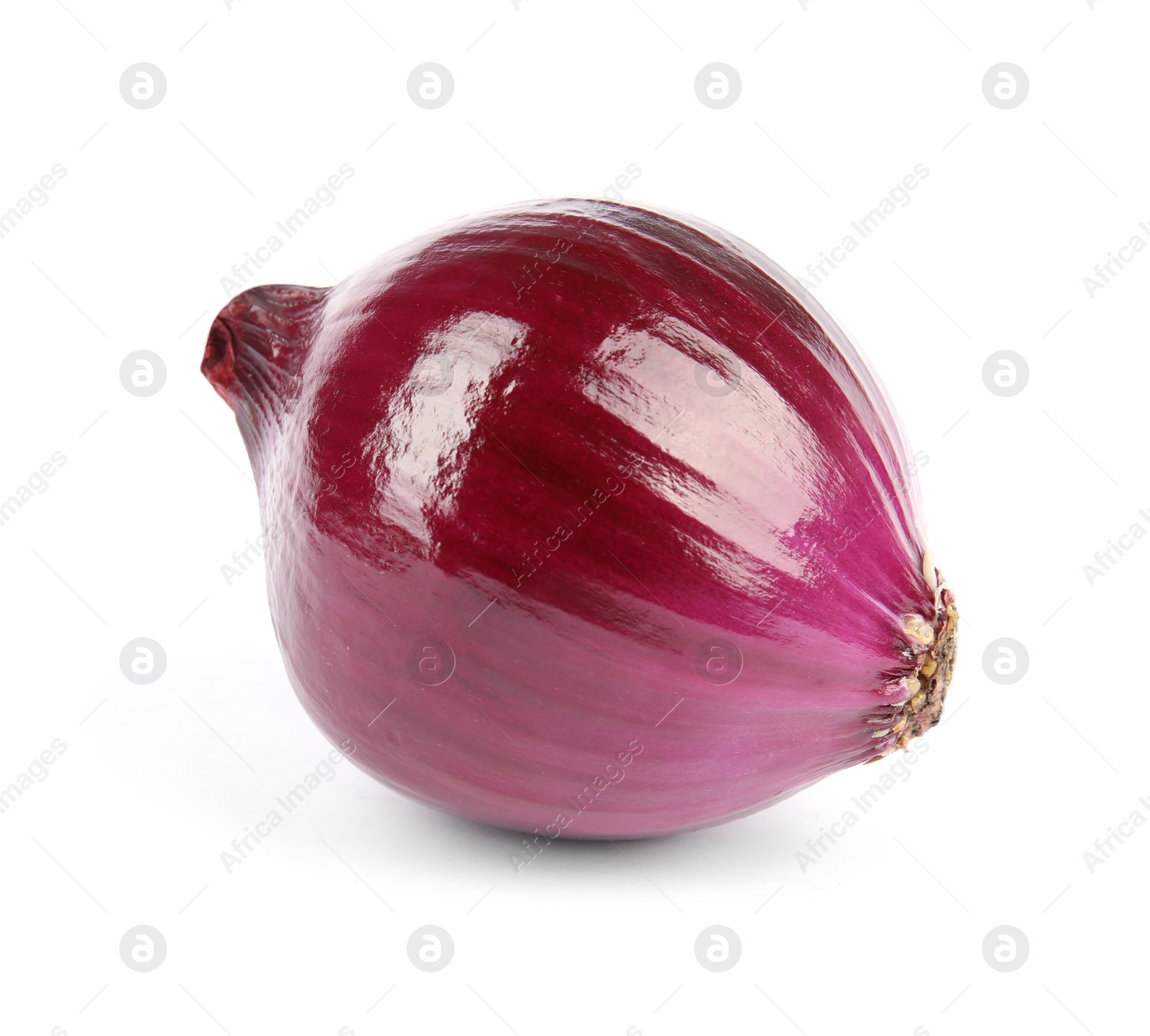 Photo of Fresh whole red onion on white background