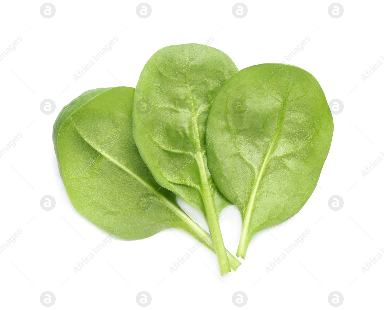 Photo of Fresh leaves of spinach isolated on white, top view