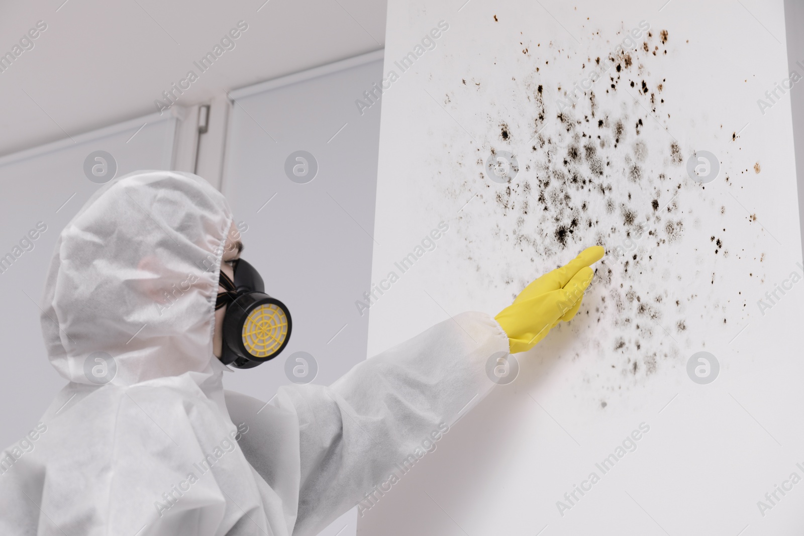 Image of Woman in protective suit pointing at wall affected with mold