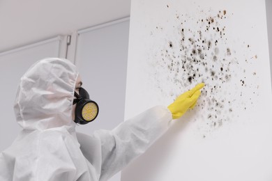 Image of Woman in protective suit pointing at wall affected with mold