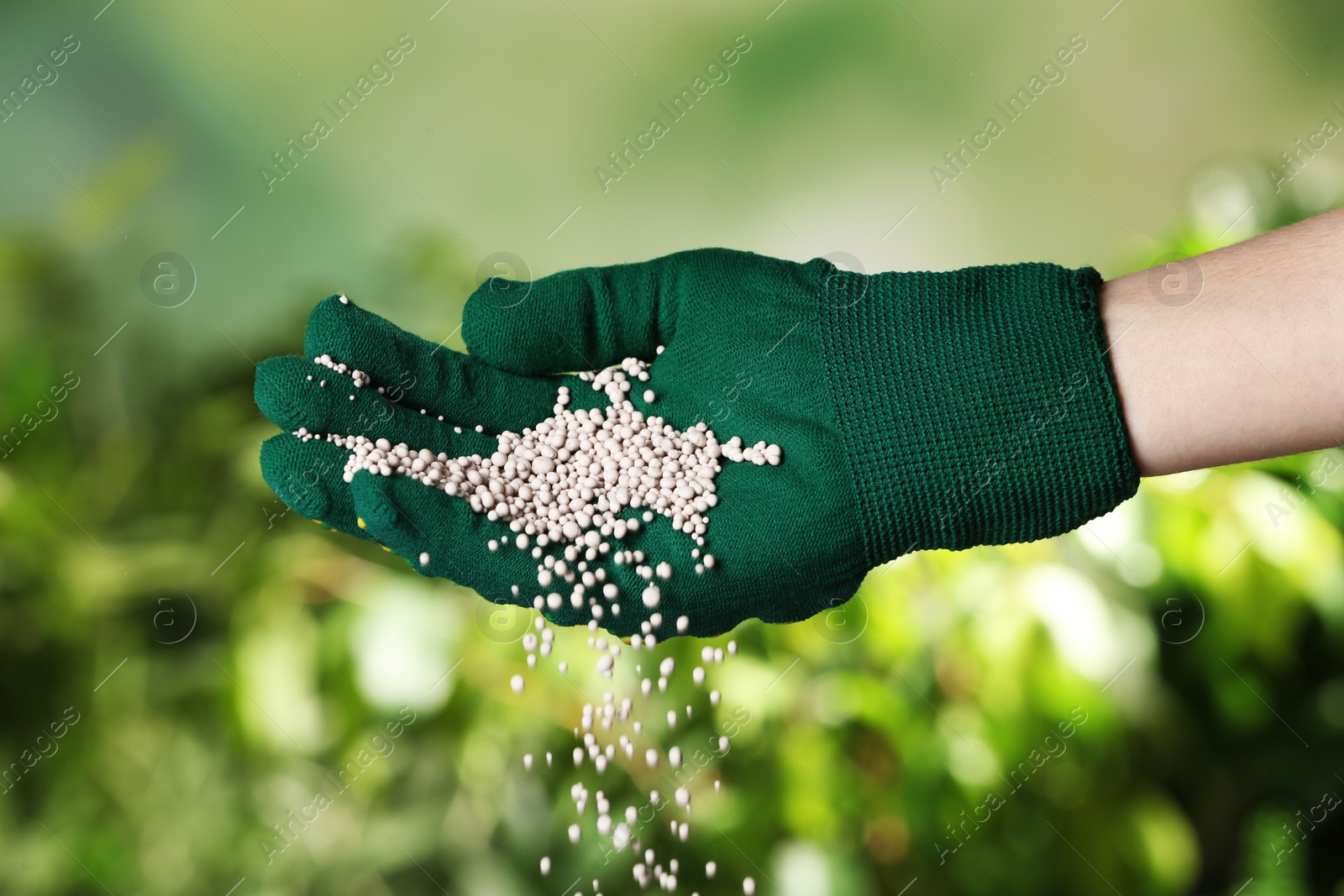 Photo of Woman in glove pouring fertilizer on blurred background, closeup. Gardening time