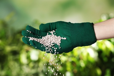 Woman in glove pouring fertilizer on blurred background, closeup. Gardening time