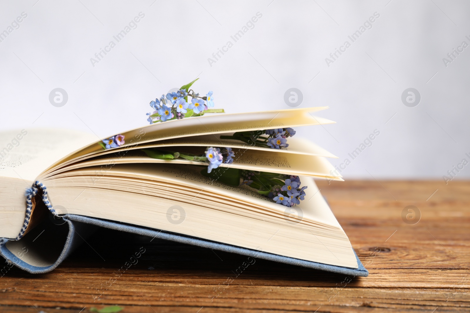 Photo of Beautiful forget-me-not flowers and book on wooden table against light background, closeup