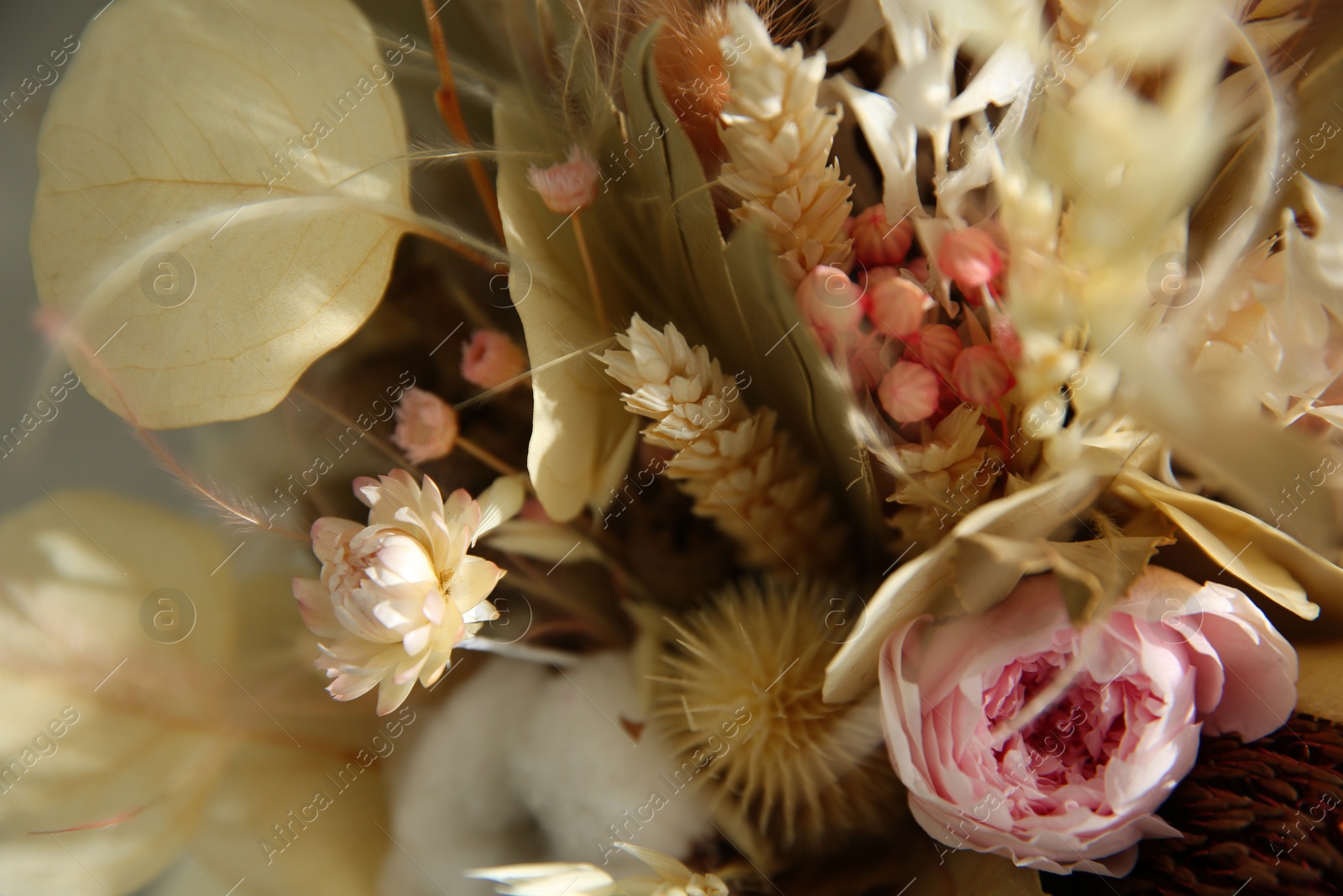 Photo of Beautiful elegant dried flower bouquet, closeup view