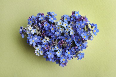 Heart of beautiful blue forget-me-not flowers on light green background, top view