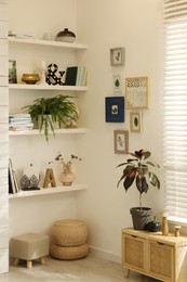 Photo of Beautiful green plants and different decor on shelves in room. Interior design