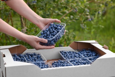 Photo of Woman with containers of fresh blueberries outdoors, closeup. Seasonal berries