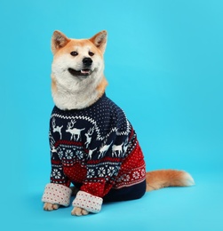 Photo of Cute Akita Inu dog in Christmas sweater on blue background