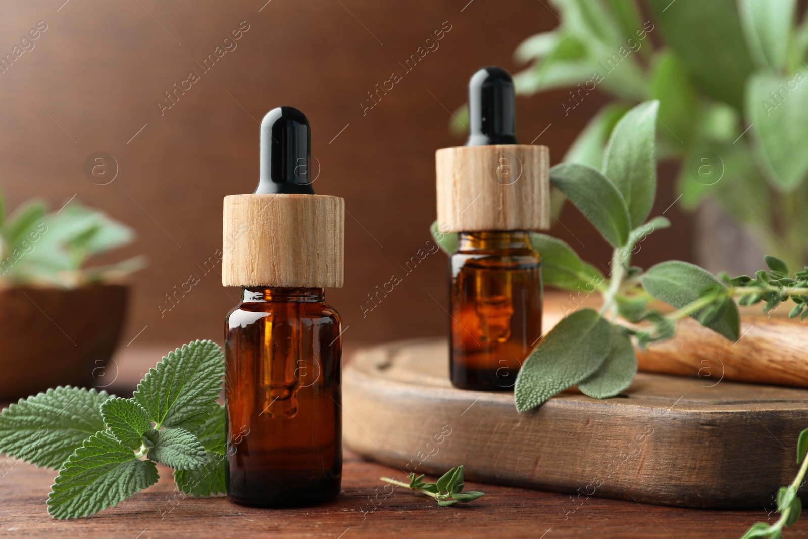 Photo of Bottles of essential oils and fresh herbs on wooden table