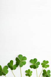 Photo of Clover leaves on white wooden table, flat lay with space for text. St. Patrick's Day symbol
