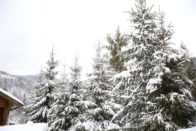 Photo of Beautiful landscape with forest on snowy winter day