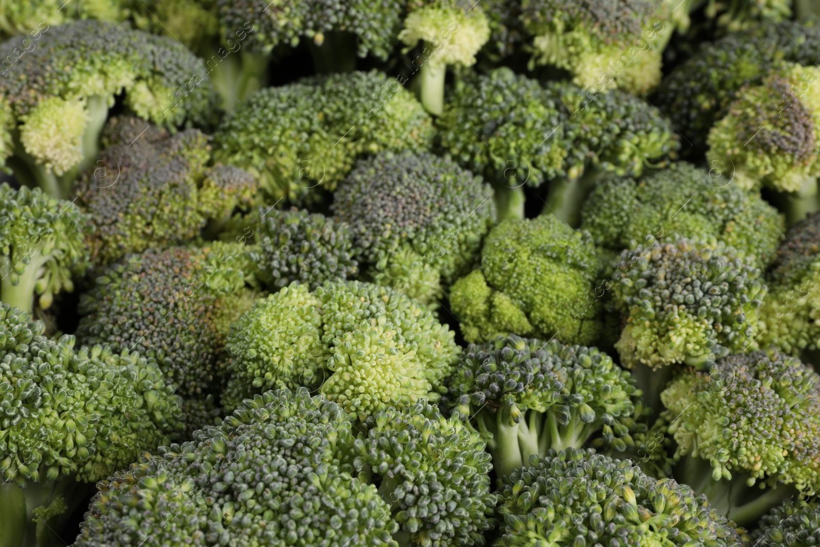 Photo of Fresh raw broccoli as background, closeup view