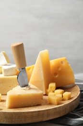 Different types of delicious cheese in wooden plate against light background