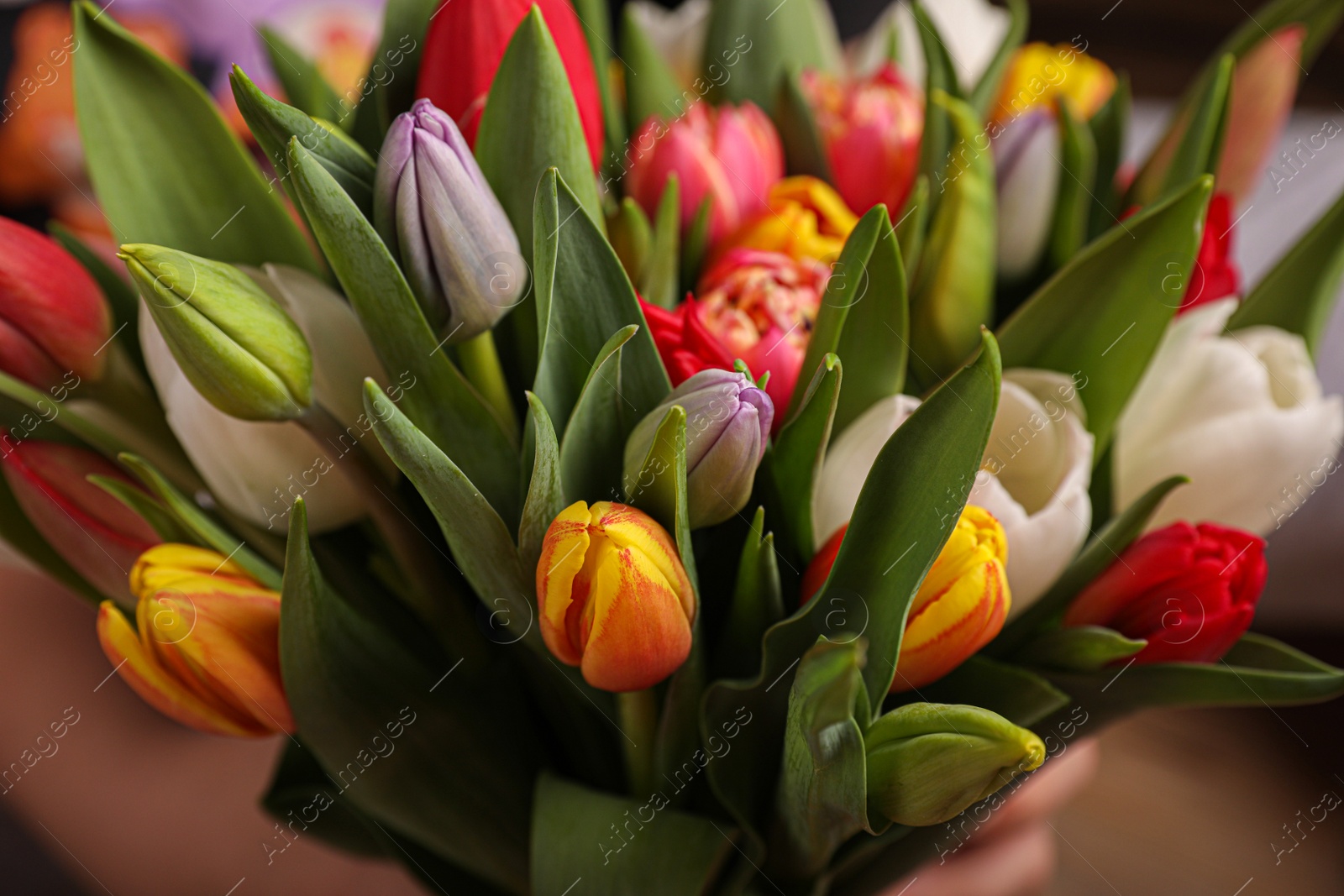 Photo of Beautiful bouquet of colorful tulip flowers, closeup