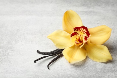 Photo of Beautiful vanilla flower and sticks on grey background