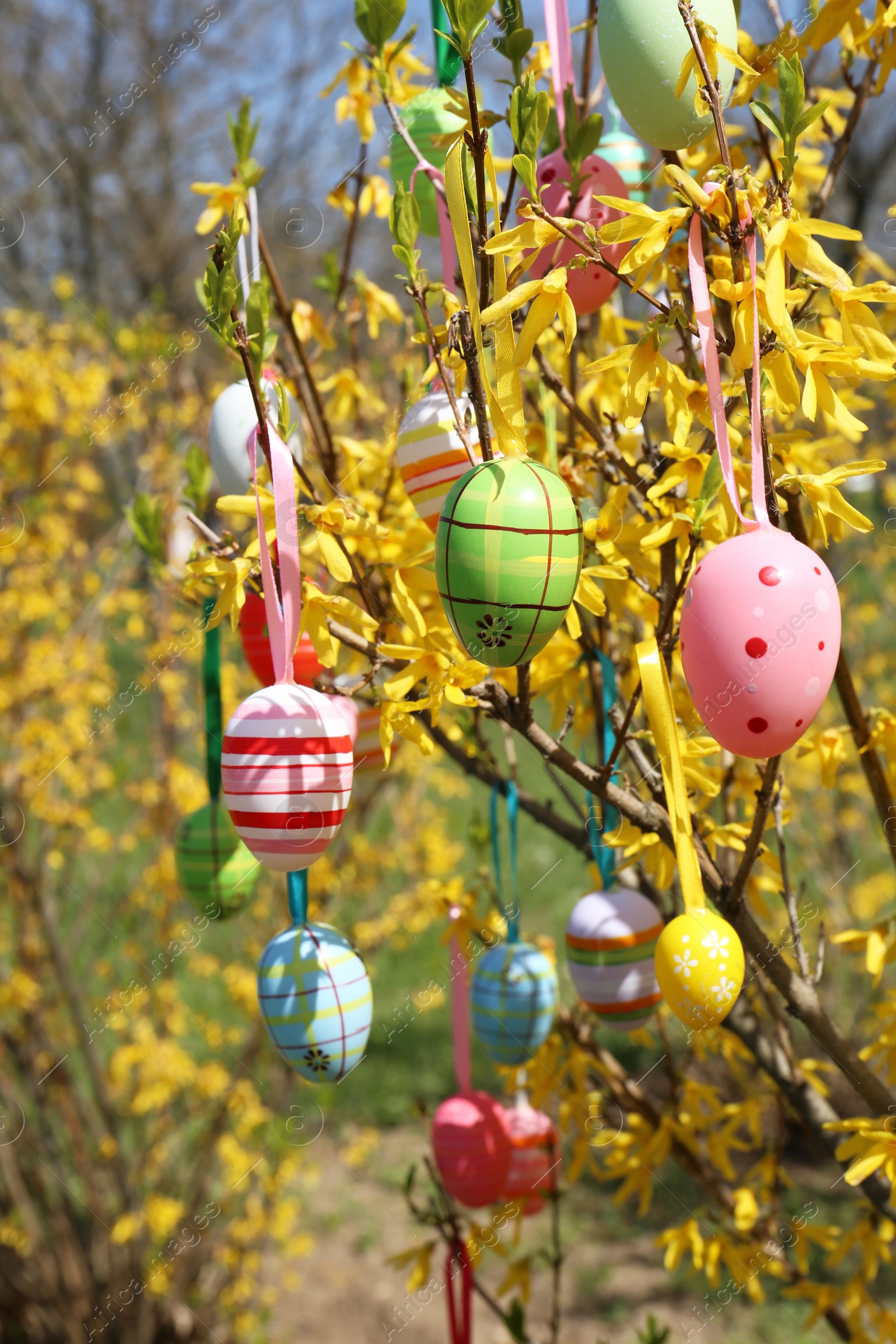 Photo of Beautifully painted Easter eggs hanging on tree outdoors, closeup