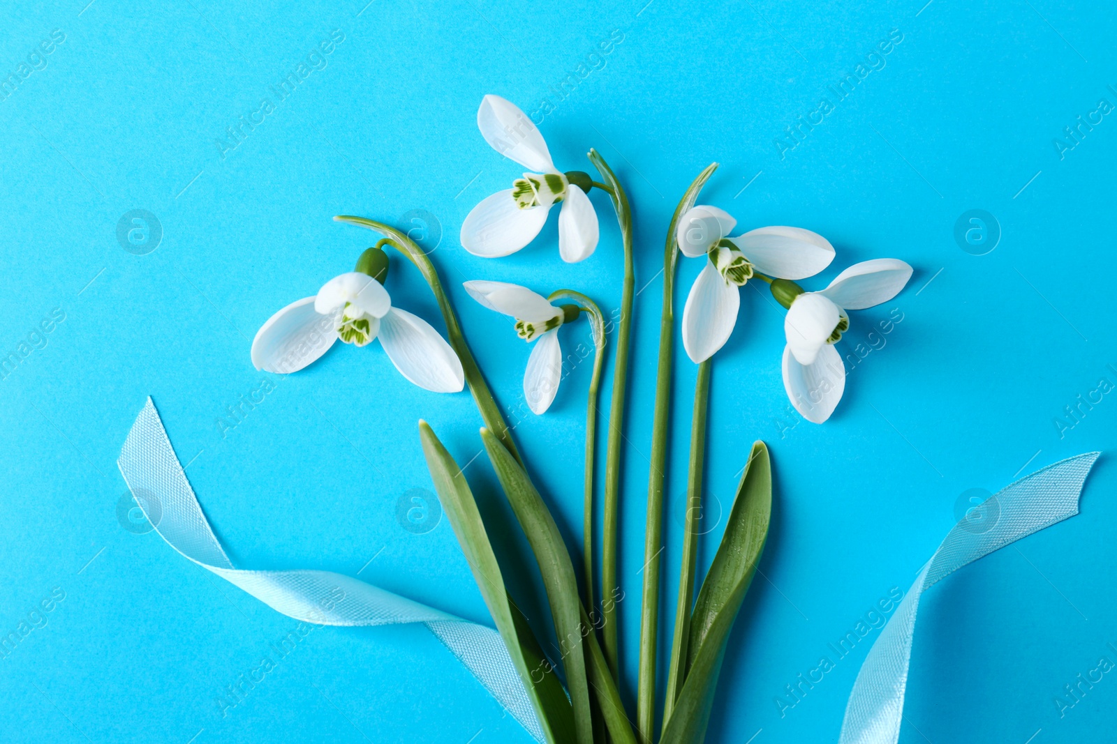 Photo of Beautiful snowdrops on light blue background, flat lay