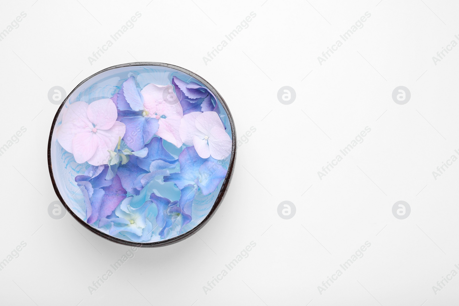 Photo of Spa composition. Aromatic water and flowers in bowl on white background, top view. Space for text