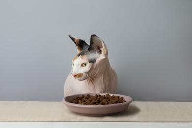 Photo of Beautiful Sphynx cat and plate of kibble served on white table against grey background