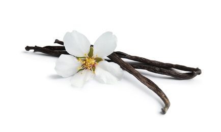 Aromatic vanilla sticks and flower on white background