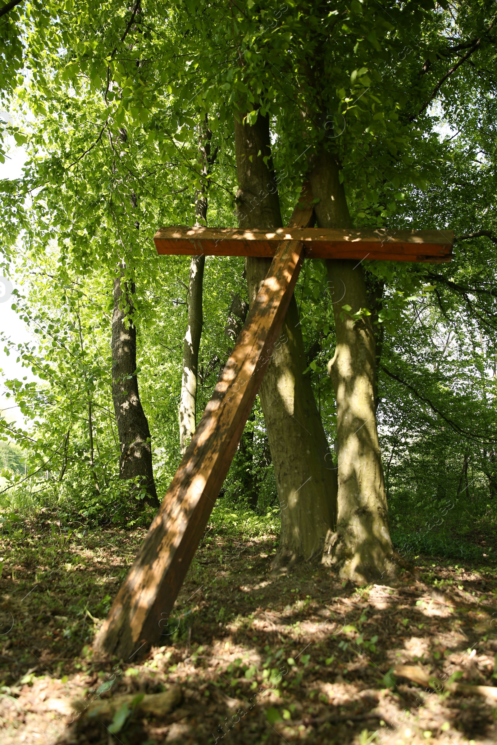 Photo of Wooden cross near trees in park outdoors