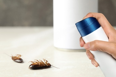 Image of Pest control. Using household insecticide to kill cockroaches at home, closeup