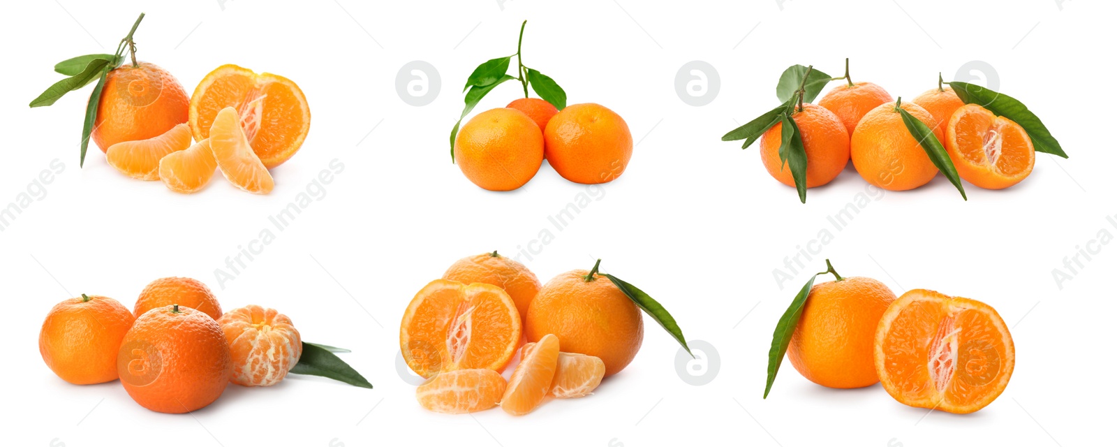 Image of Set with fresh ripe tangerines on white background. Banner design