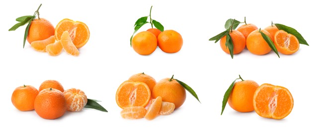 Set with fresh ripe tangerines on white background. Banner design