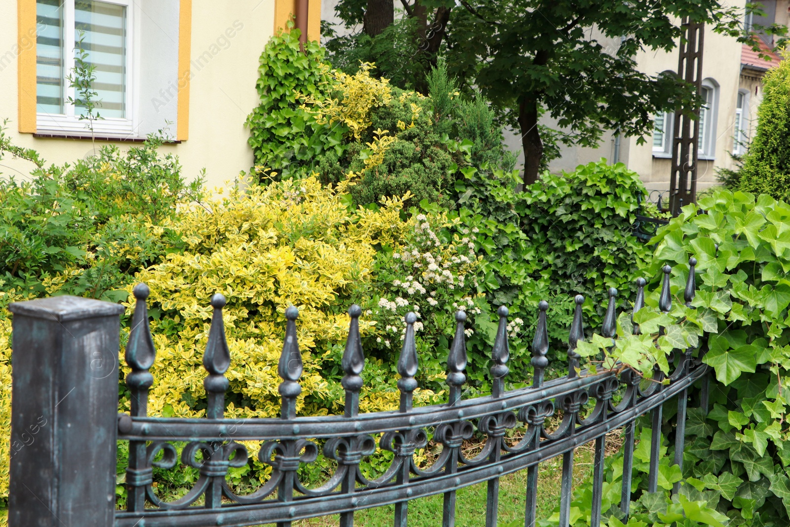 Photo of Many different beautiful plants behind metal fence outdoors. Gardening and landscaping