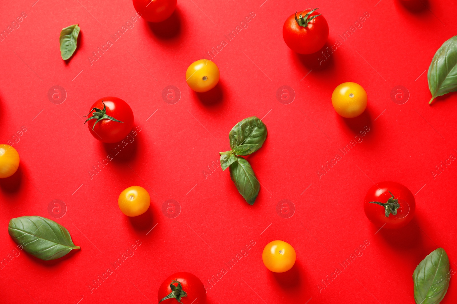 Photo of Flat lay composition with ripe cherry tomatoes and basil leaves on color background